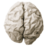 BrainLog logo