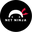 Net Ninja Pro logo