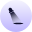 WP Spotlight logo